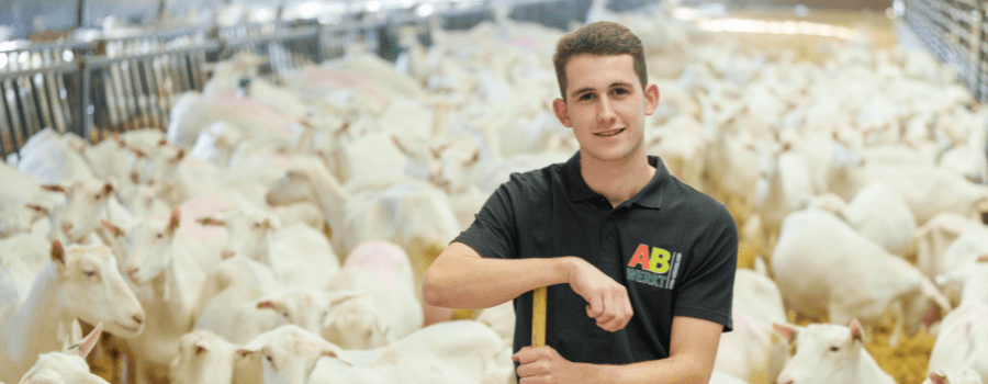 Verhaal hero afbeelding