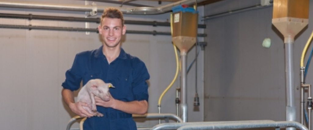 Afbeelding van verhaal Een passende opleiding in de varkenshouderij kiezen