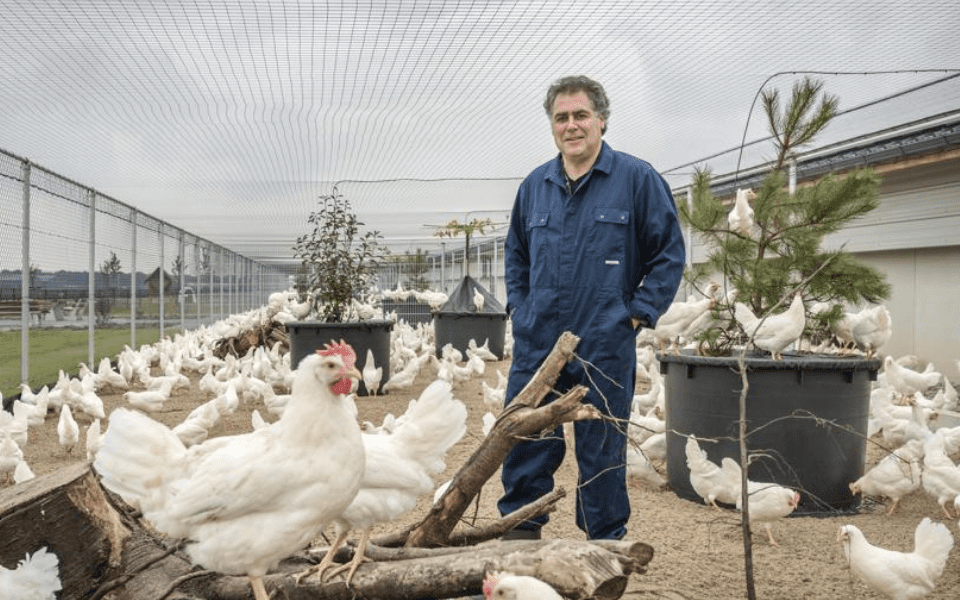 Afbeelding van verhaal Kipster robotisering: “van palletstapelaar naar procesoperator”