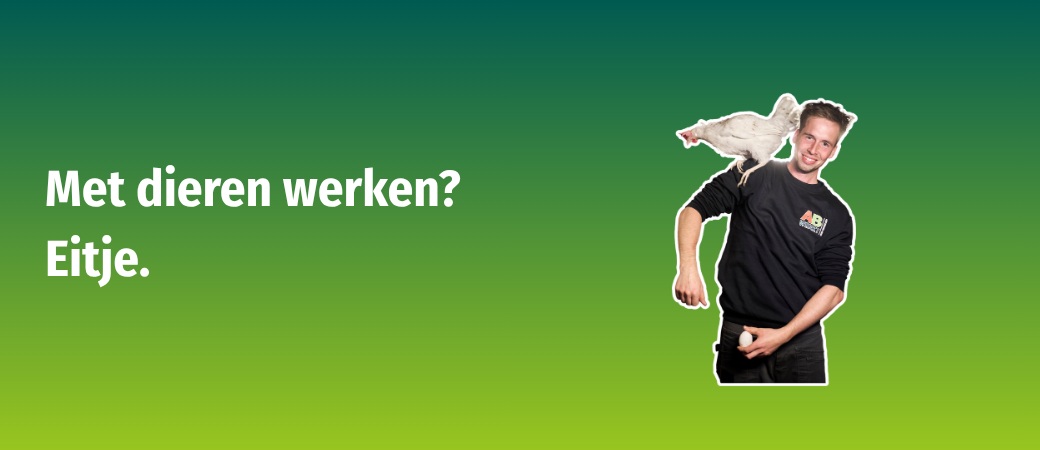 Hero Afbeelding